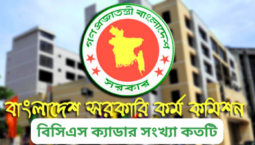 বাংলাদেশ সিভিল সার্ভিস মানে কি বিসিএস ক্যাডার সংখ্যা কতটি